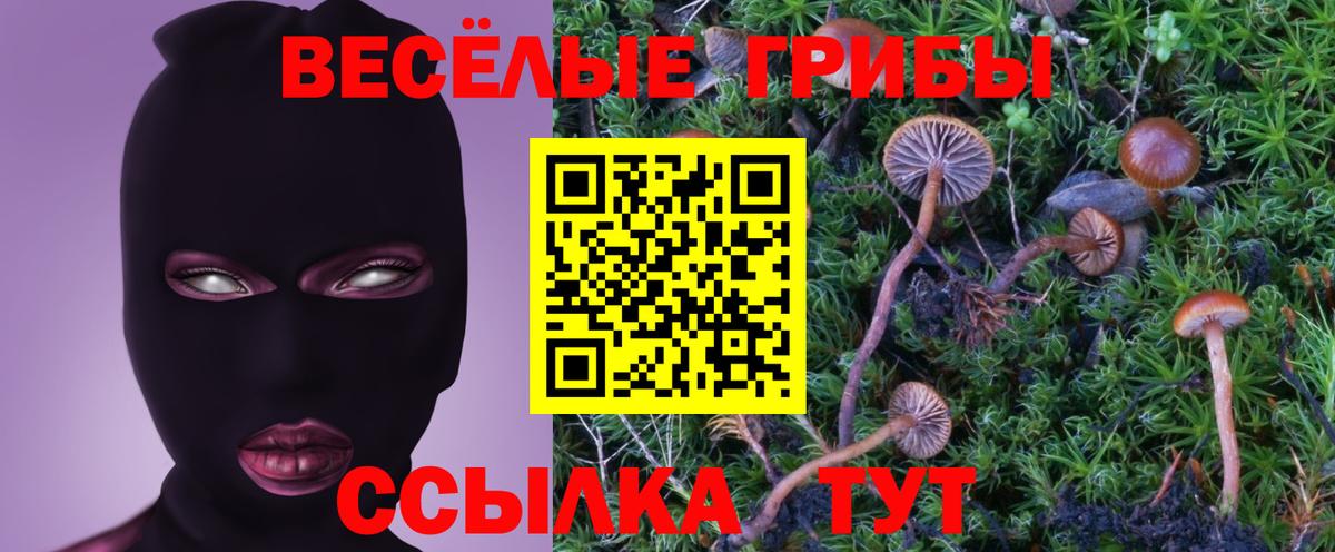 Галлюциногенные грибы Cubensis  Вход с VPN  магазин продажи   Ессентуки 
